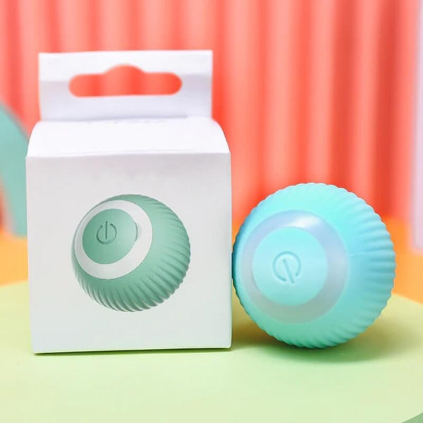 Smart Rechargeable Pet Ball