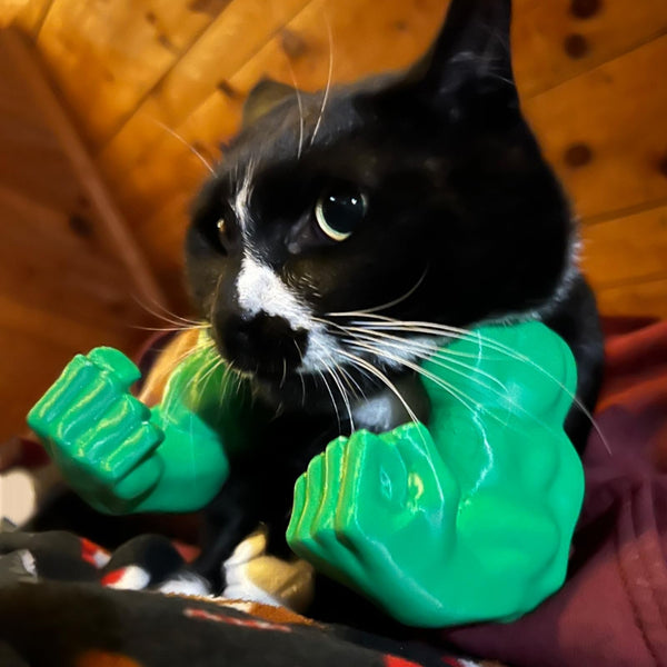 Cat Superhero Muscle Costume Collar